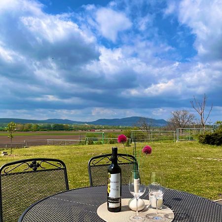 Penzion U Vinarstvi Sabata Zaječí Buitenkant foto