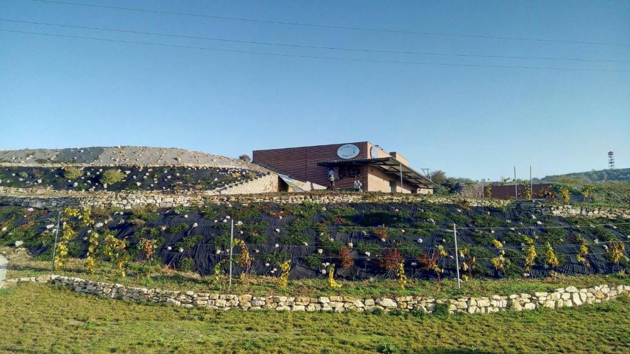 Penzion U Vinarstvi Sabata Zaječí Buitenkant foto